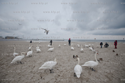 Gdynia. Niedzielne, wielkanocne popoludnie na plazy...