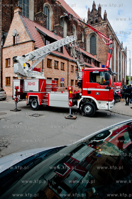Gdansk. Akcja ratunkowa kaczki krzyzowki oraz jej nowo...