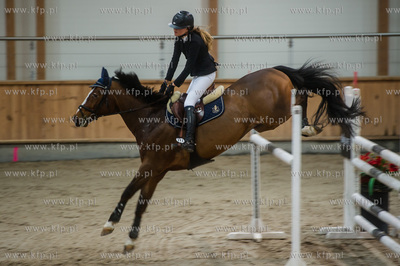 Hipodrom Sopot. Hala Pomarańczowa. Halowe Zawody w...
