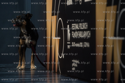 Gdynia. 46 Festiwal Polskich Filmów Fabularnych. Konferencja...