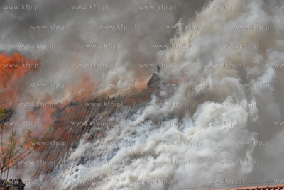 Plonie kosciol sw Katarzyny w Gdansku widok z gdanskiego...