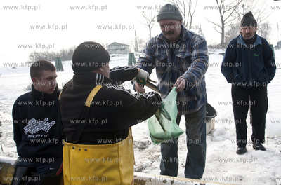 Rybacy ze Swibna powracaja z pierwszego polowu sledzia...