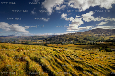 Irlandia poludniowa, hrabstwo Kerry, Nz. krajobraz...
