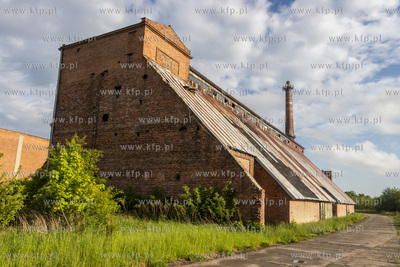 Botaniczny Pruszcz. Spacer badawczy śladem roślin...