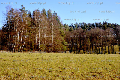 Sulmin wies na Kaszubach. 31.12.2011 Fot. Kinga Kosycarz...