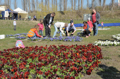 Gdansk Chelm, Jar Wilanowski. Akcja: Wielkie sprzatanie...