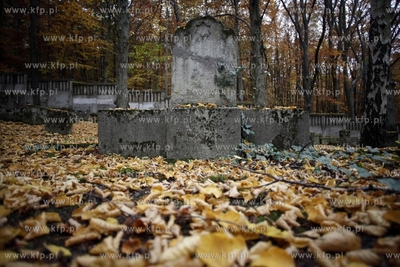 Sopot. Zydowski cmentarz.
24.10.2012
fot. Krzysztof...