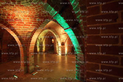 Uroczyste otwarcie Piwnicy Romanskiej z XIIIw., ktora...