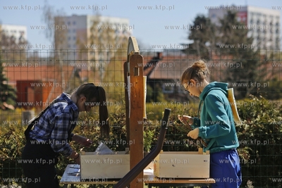 Zespół Szkół Architektury Krajobrazu i Handlowo-Usługowychw...