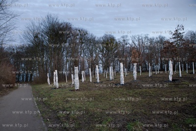 Park w Kolibkach. Ponad 100 drzewek przesadzonych z...