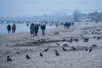Sopot. Tlumy ludzi spacerują po plaży i na molo....