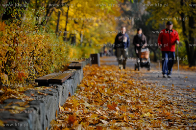 Gdansk. Park Jelitkowski.
06.11.2011
fot. Mateusz...