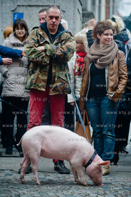 Gdansk. Obchody 55 lecia Polskiego Rock & Rolla. Odsloniecie...