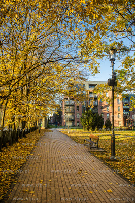 Gdańsk. Wrzeszcz. Jesien w Parku Kuźniczki.
29.10.2016
fot....