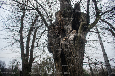 Gdańsk. Znajdująca się w ciągu Alei Zwyciestwa,...