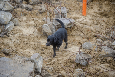Gdańsk. Oddanie do użytku Strażnicy Jednostki Ratowniczo...