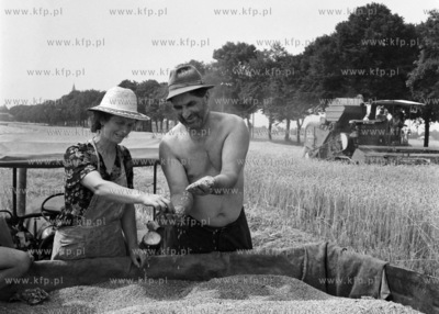 Żniwa na Żuławach.
08.1971
0000540z_sierpien1971
Fot....