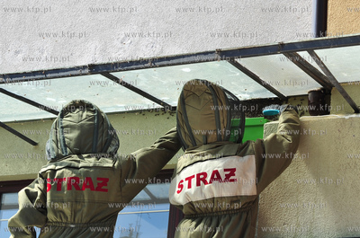 Sopot. Rog ulic Monte Cassino i Haffnera. Roj pszczol...