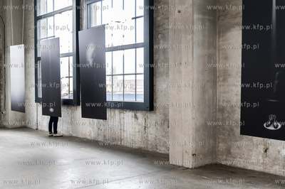 Gdańsk Stocznia. Plenum. Wystawy 4 autorów: Damian...