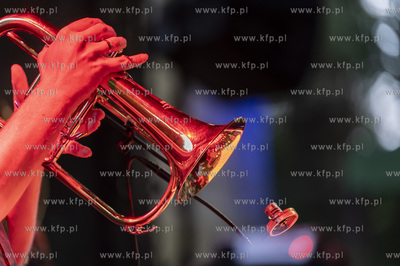 Sopot. 5 urodziny Goyki 3 Inkubator. Na scenie grają...