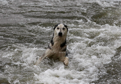 Gdynia. Bulwar nadmorski. Sztorm na Zatoce Gdanskiej....