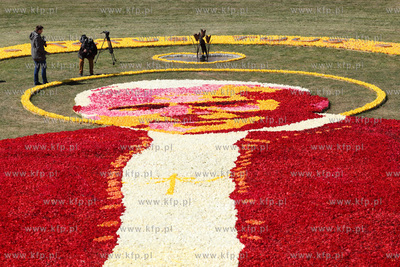 Mokry Dwor. Zulawski Tulipan. Z okolo jednego miliona...