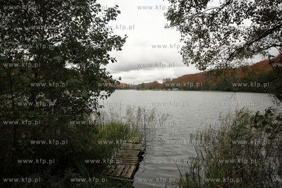 Jezioro przywidzkie.
17.10.2014
fot. Krzysztof Mystkowski...