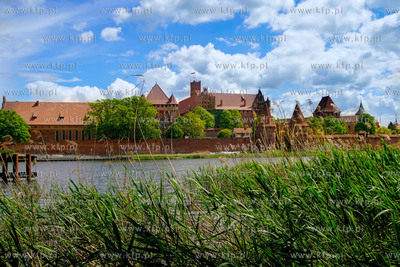 Zamek w Malborku nad Nogatem wzniesiony przez zakon...