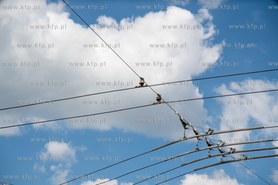 Siedziba i zajezdnia Przedsiębiorstwa Komunikacji...