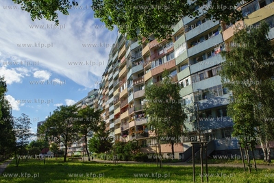 Falowiec w Nowym Porcie, przy ulicy Wyzwolenia. 10.07.2021...