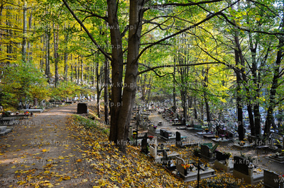 Gdansk. Cmentarz Srebrzysko.
28.10.2011
fot. Mateusz...
