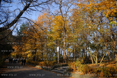Gdansk. Park Jelitkowski.
06.11.2011
fot. Mateusz...