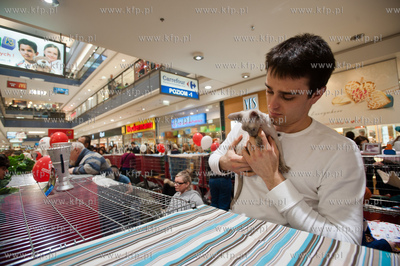 Gdansk. Galeria Baltycka. Obchody swiatowego dnia kota....