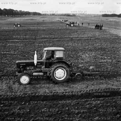XV Krajowy Konkurs Orki na polach PGR Górki pod Kwidzynem....