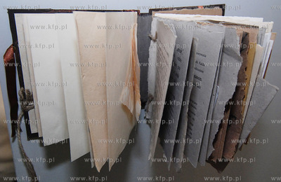 W Pomorskim Parku Naukowo - Technologicznym trwa unikatowa,...