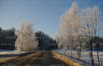 Gdansk. Zimowy krajobraz.
14.01.2010
fot. Mateusz...