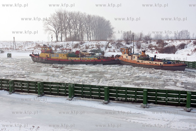 Lodolamacze w bazie w Przegalinie 26.02.2010 fot. Maciej...