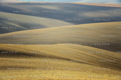 Morawy. Czechy. Okolice miejscowosci Kijev. Nz. pola...