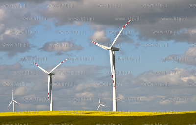 Farma wiatrowa w Pelplinie, skladajaca sie z 24 elektrowni...