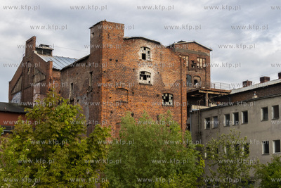 Botaniczny Pruszcz. Spacer badawczy śladem roślin...