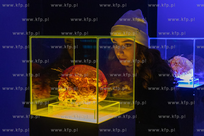 Wernisaż wystawy Jacka Kornackiego "Ślady i znaki...