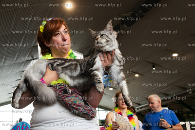 Międzynarodowa wystawa kotów rasowych "Koty na Hawajach"...