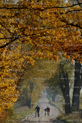 Sulmin na Kaszubach Droga od strony Lezna.. 21.10.2012...