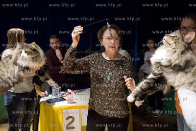 Technikum Łączności w Gdańsku. Międzynanarodowa...