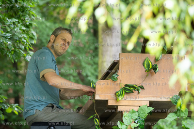 Sopot. Łysa Góra. Festiwal „Piano w naturze Sopot”....