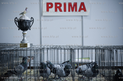 Gdansk. Miedzynarodowe Targi Gdanskie SA. 
6. Miedzynarodowe...