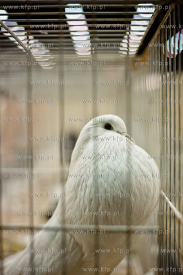 Gdansk. Gdansk. Amber Expo. 8. Miedzynarodowe Targi...