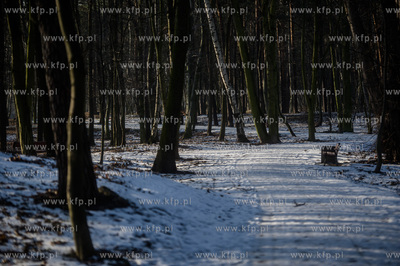 Gdańsk. Park Brzeźnieński im. J. J. Haffnera.
16.02.2017
fot....