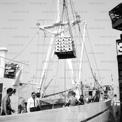 Zaladunek lubianek z jagodami w porcie gdynskim.
04.07.1966
0000866z_lipiec1967
Fot....