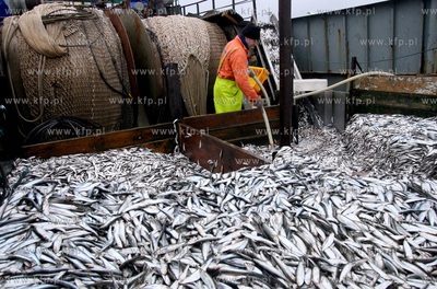 Ropoczal sie sezon na polow szprot. Nz. Kuter KOL 123...